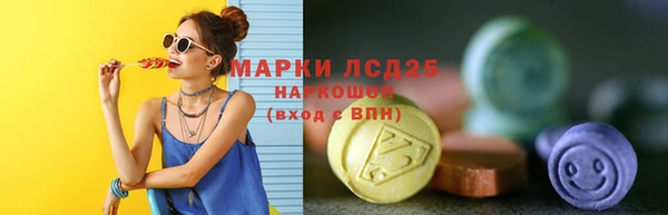 твердый Аркадак