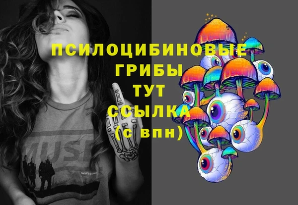 твердый Армянск